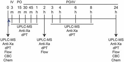 Pharmacokinetics and Pharmacodynamics of an Oral Formulation of Apixaban in Horses After Oral and Intravenous Administration